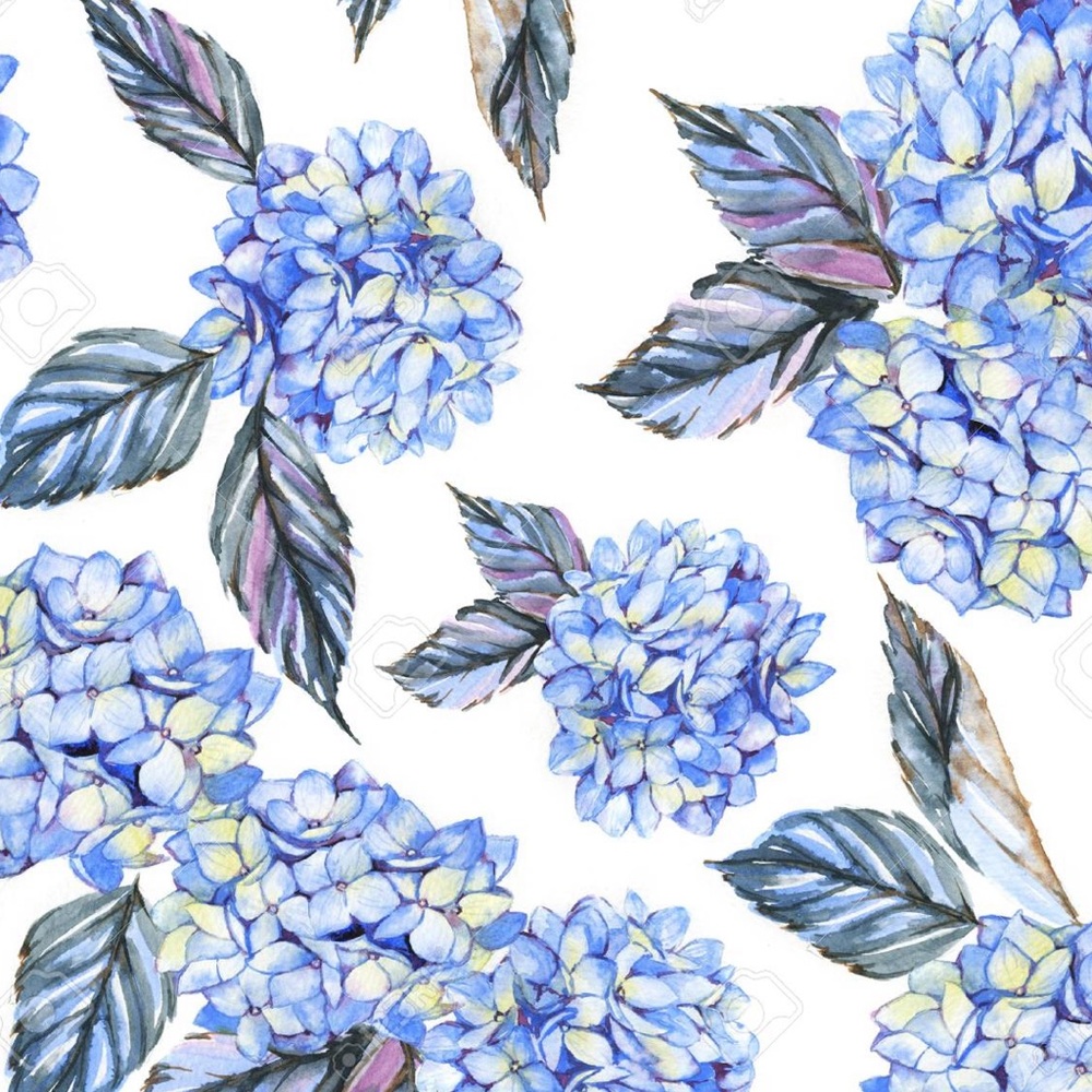 Meet your Posher, Rozita